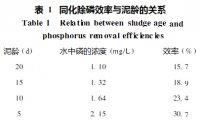 污泥泥齡對除磷效果影響