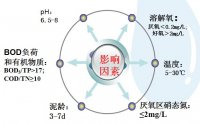 生物除磷的影響因素有哪些