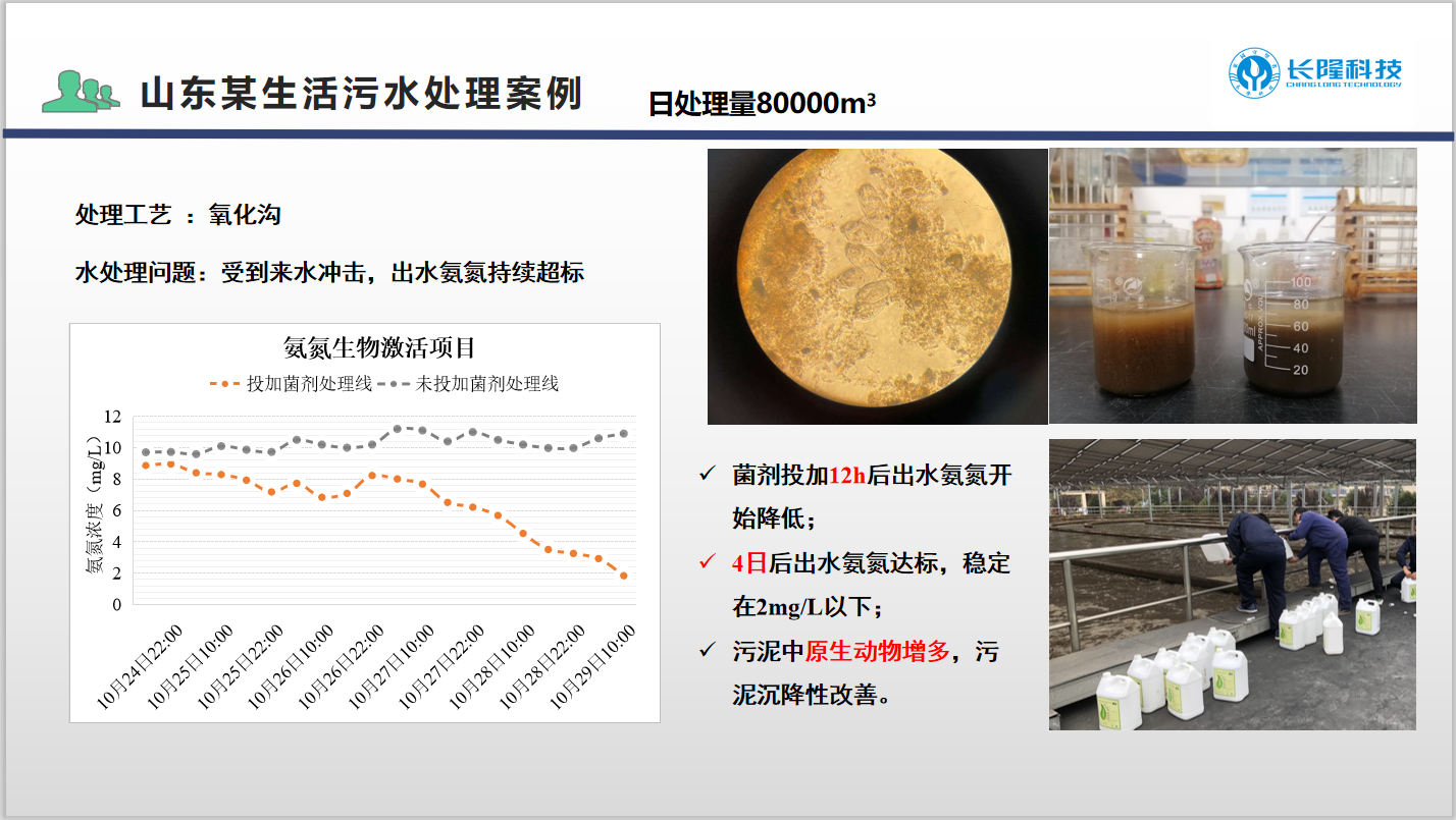 北方低溫氨氮菌生活污水應(yīng)用案例1