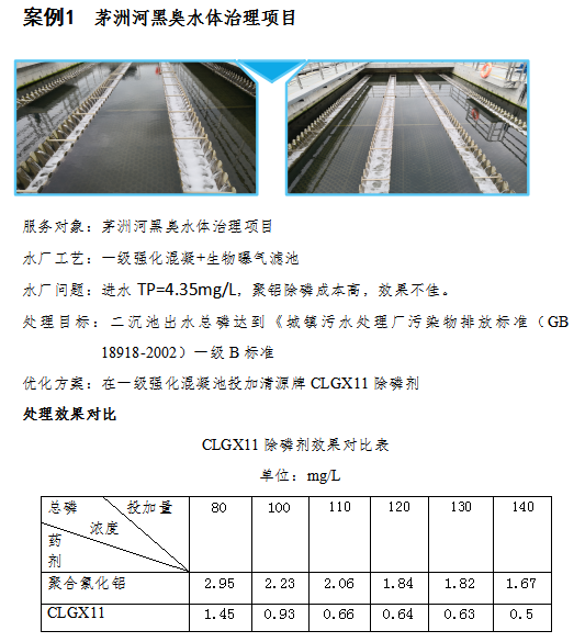 黑臭水體除磷實(shí)例