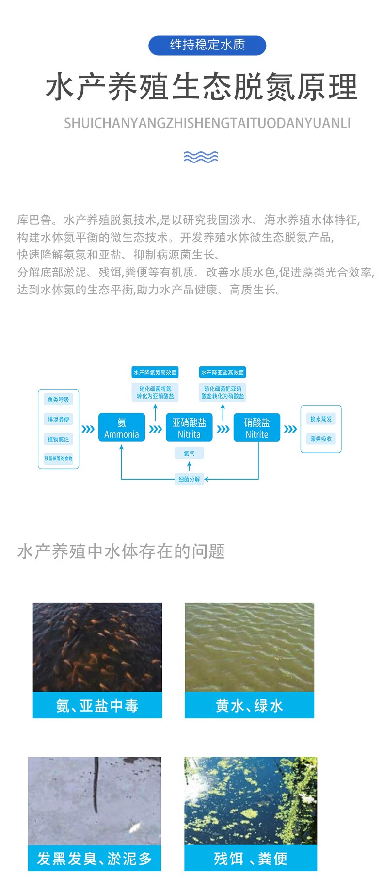 水產(chǎn)養殖脫氮